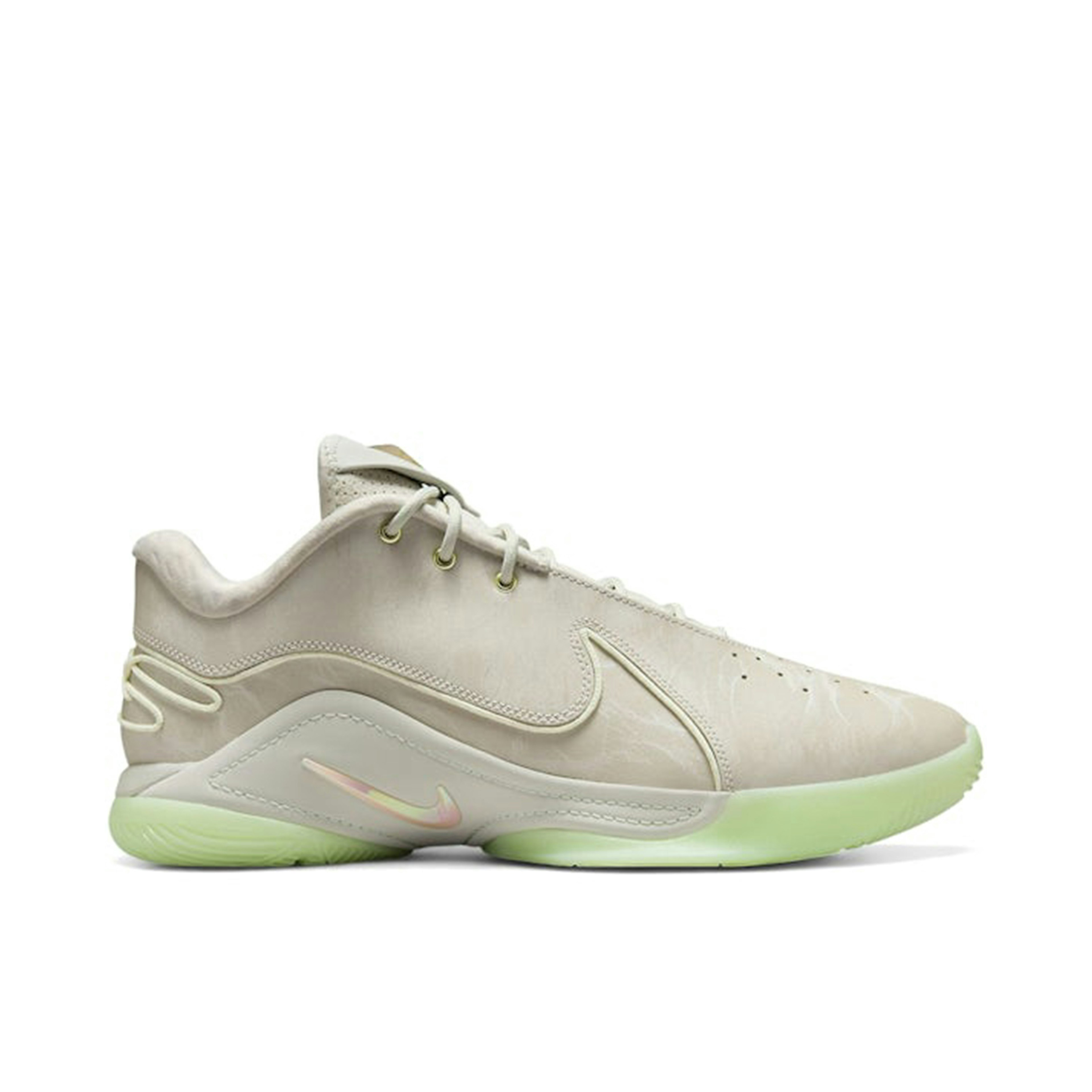 Nike LeBron 22 Dunkman