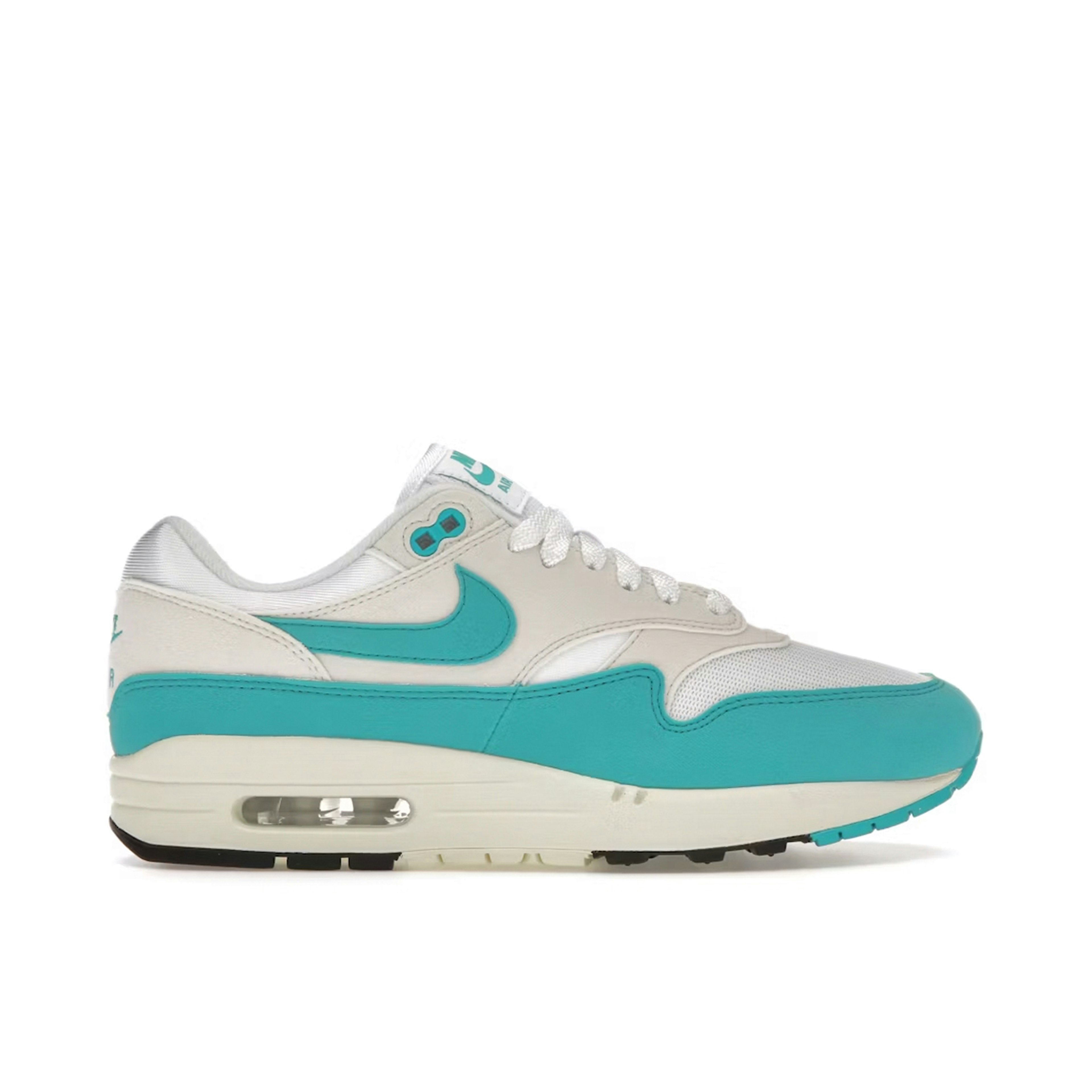 Nike Air Max 1 Dusty Cactus Womens