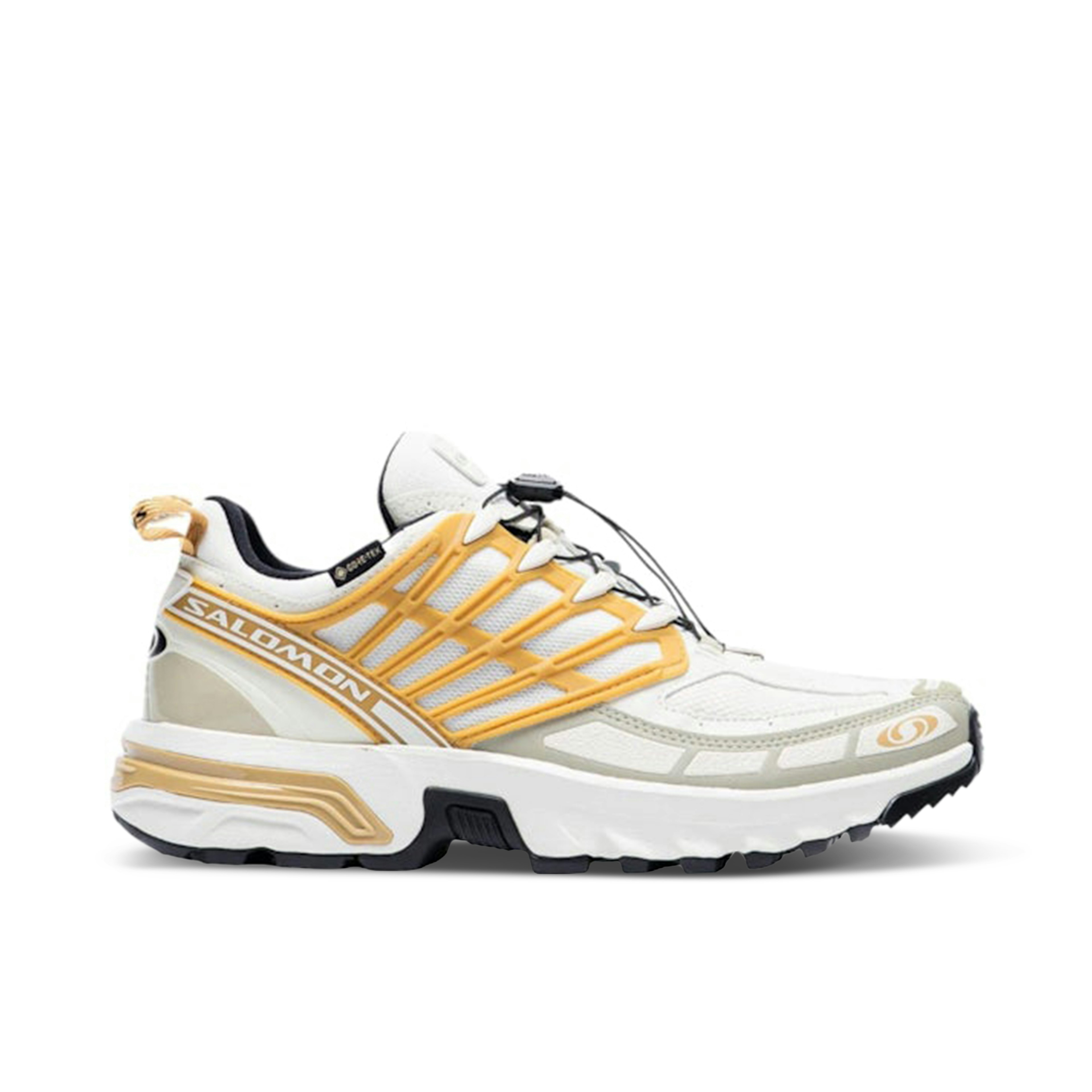 Salomon Acs Pro Gore-Tex Antelope Tea