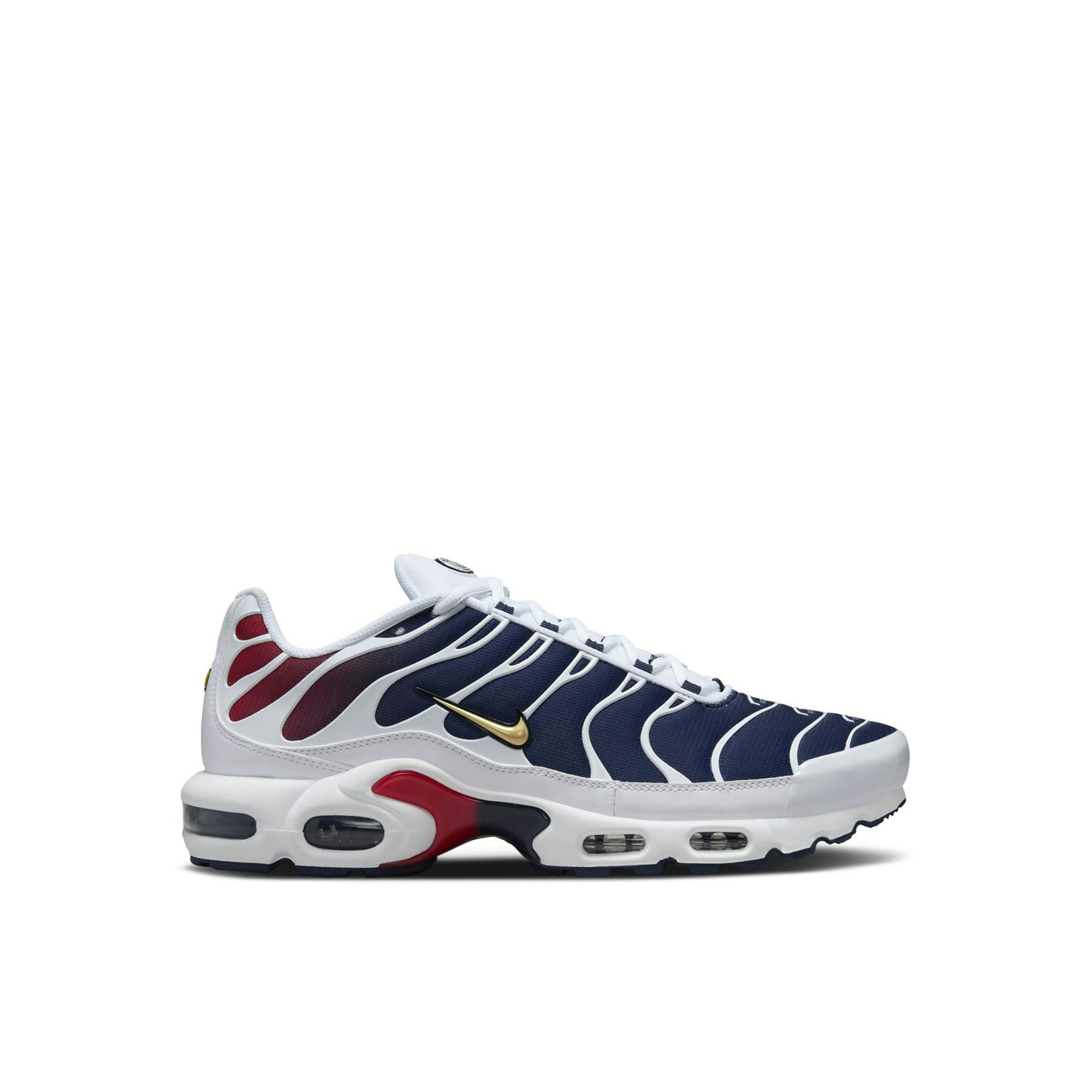 Nike Air Max Plus PSG