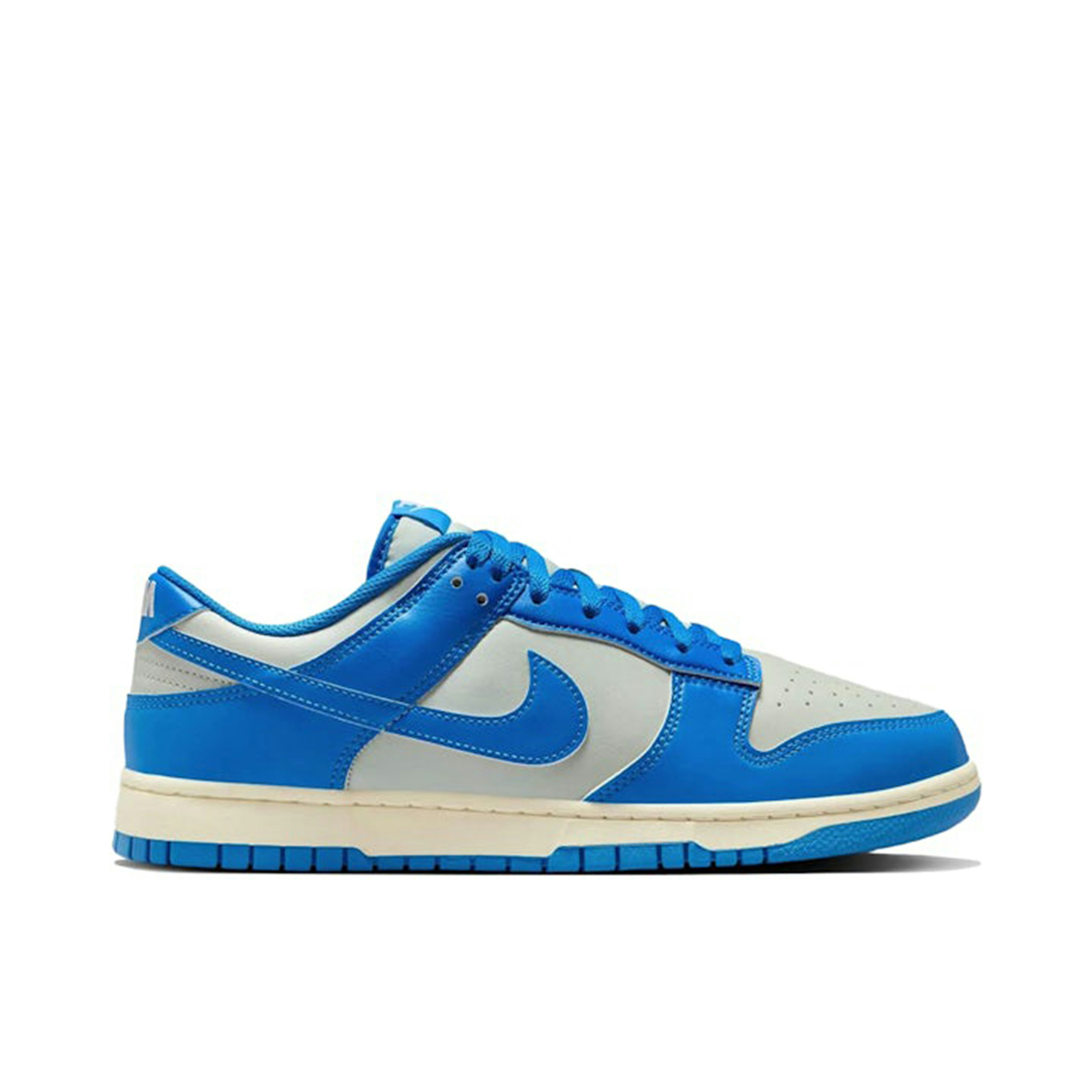 Nike Dunk Low Detroit Lions