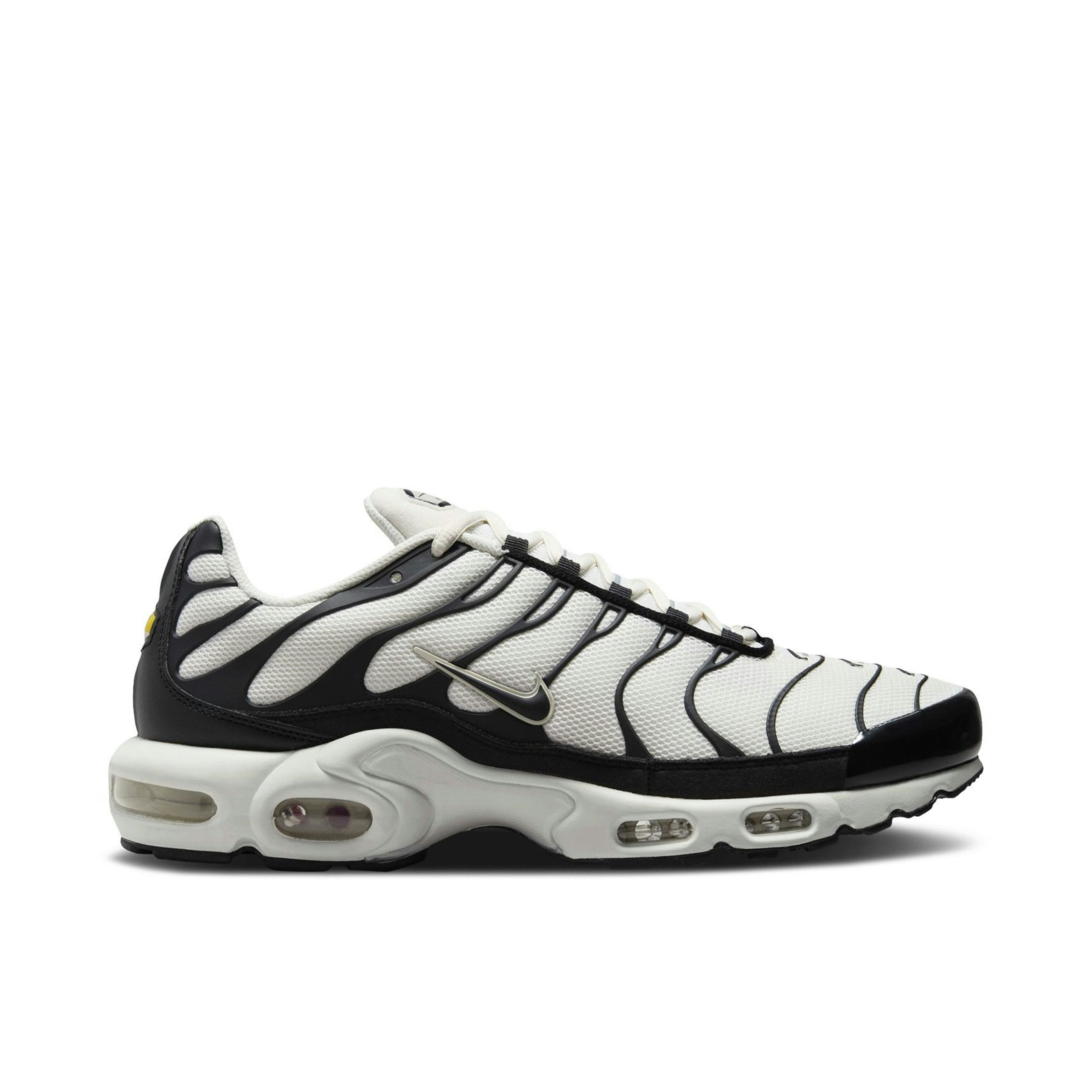 Nike Air Max Plus Panda