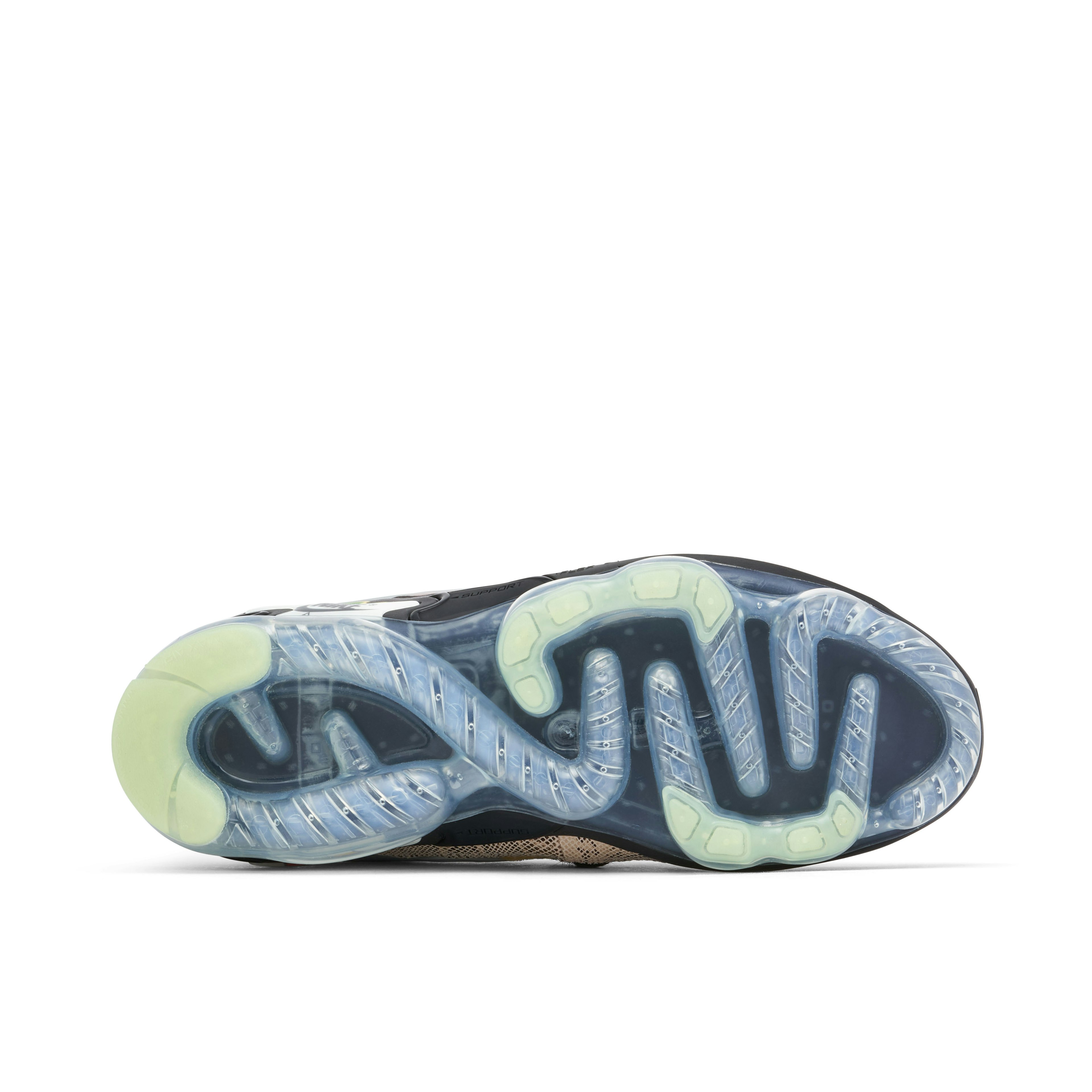 Nike Air VaporMax EVO NRG Collector's