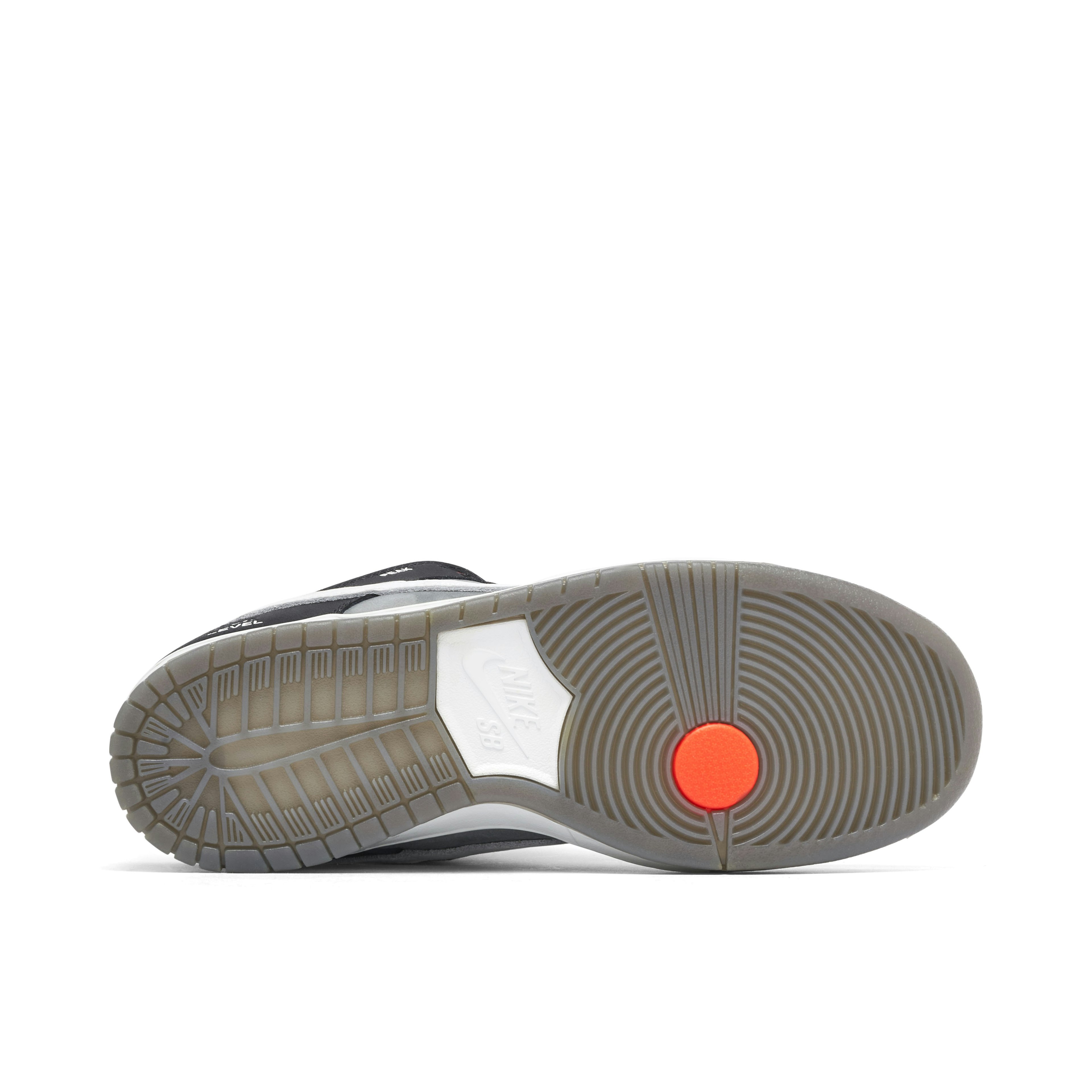 Nike SB Dunk Low VX1000 Camcorder