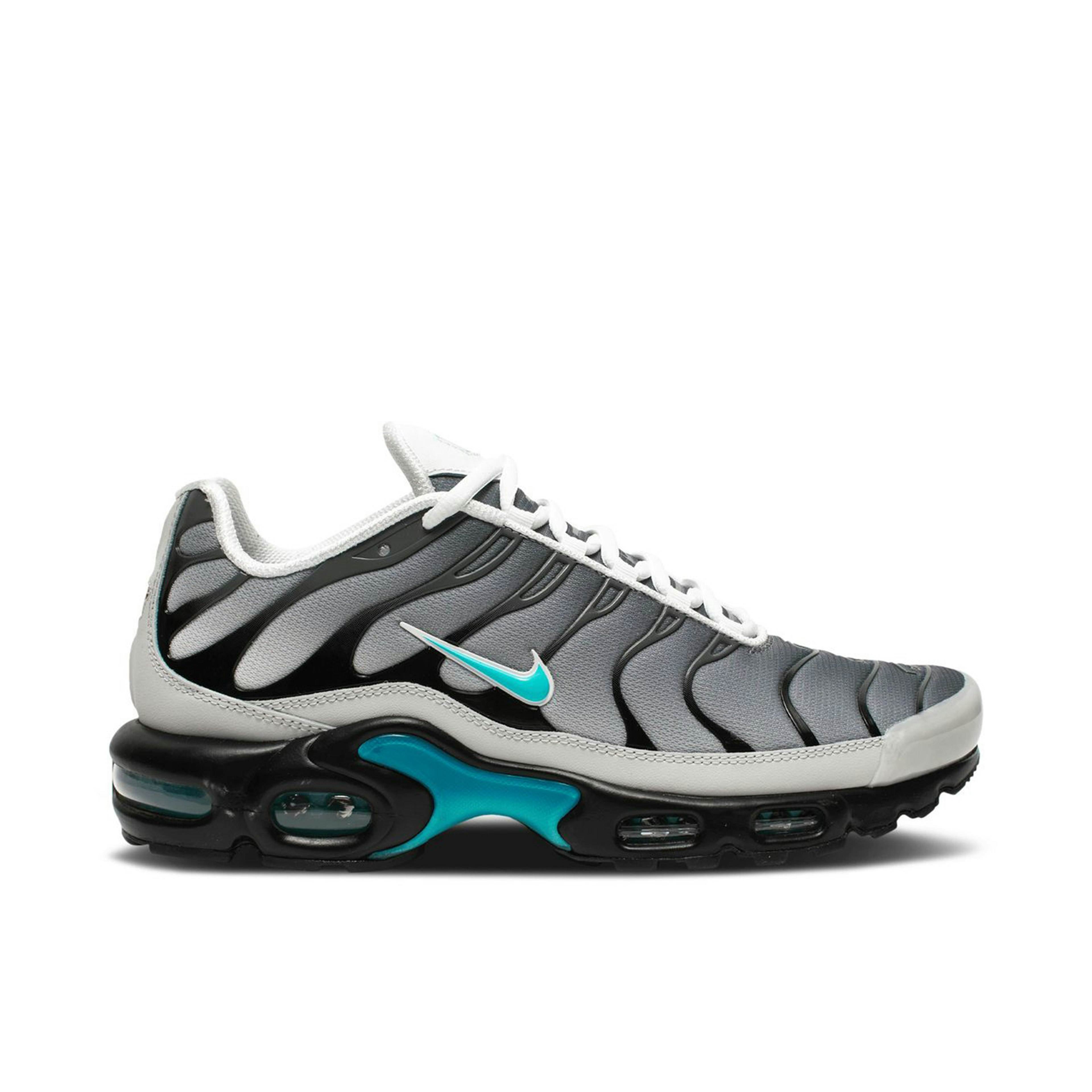 Nike Air Max Plus One Block Down Matte Silver