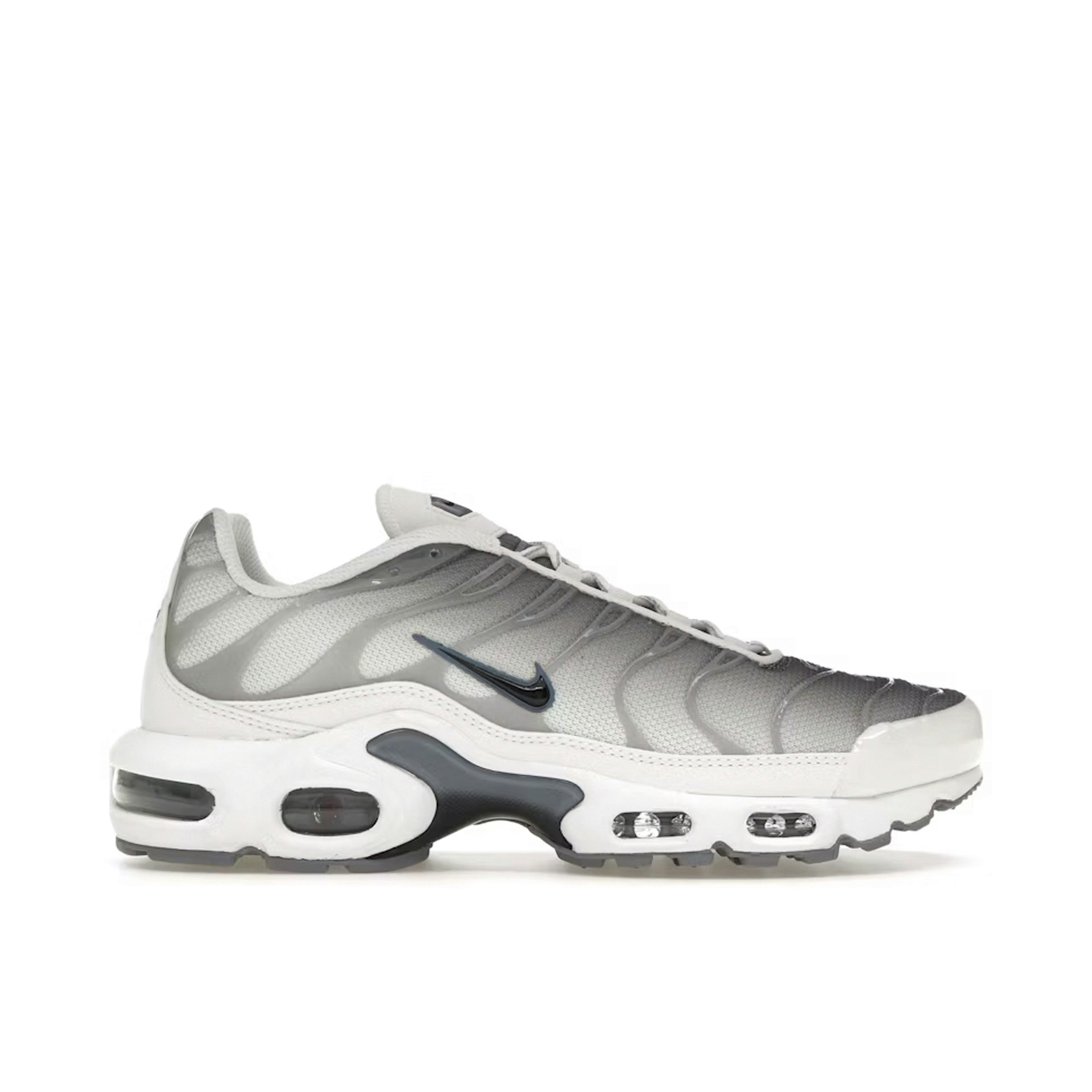 Nike Air Max Plus Smoke Grey Ashen Slate Womens